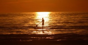 Top Local Spots for Families