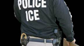 Local Businesses Checked for Illegal Workers