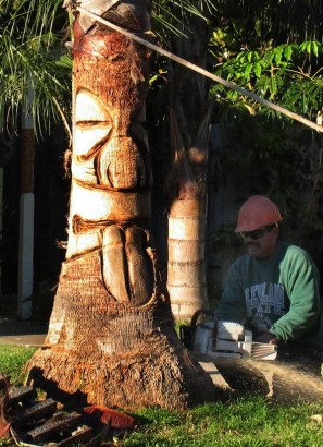 Miguel Sifuentes of California Tree Service cuts through the base of a carved "tiki" palm tree Monday morning. Oceanside officials required that the tree, on a city right-of-way, be cut down after it was carved without permission. Miguel Sifuentes of California Tree Service cuts through the base of a carved "tiki" palm tree Monday morning. Oceanside officials required that the tree, on a city right-of-way, be cut down after it was carved without permission.