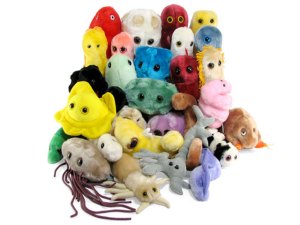 Bacteri-Awww