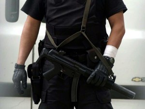 Law-enforcement officials from the military and state and federal agencies temporarily replaced hundreds of Tijuana officers who were relieved of duty, according to a published report.