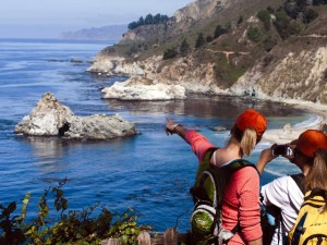 Good Riding Near Big Sur