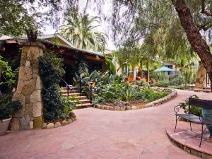 Spring Deals Around Ojai
