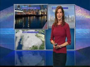 Dagmar Midcap's Forecast for May 25, 2012