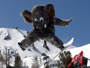 Mammoth's 72-Hour Sale