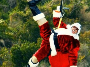 Look Who's Riding the Catalina Zip Line