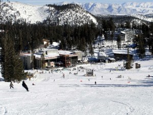 Big Snow Bash