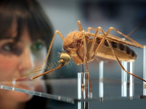 Get Bugged at the Zoo