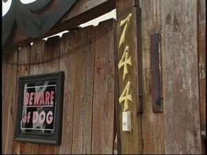 The animal was killed in the 700 block of 40th Street 