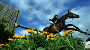 Dates Added for Del Mar Racetrack