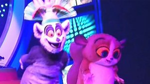 Madagascar Live! Kicks Off at SeaWorld San Diego