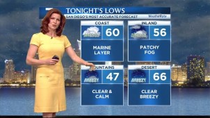 Dagmar Midcap's Forecast for May 21, 2013