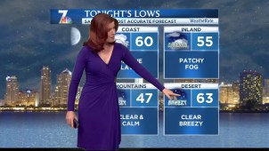 Dagmar Midcap's Forecast for May 22, 2013