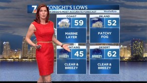Dagmar Midcap's Forecast for May 24, 2013