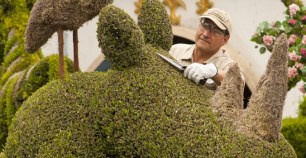 A Disneyland Tour for Greenery Buffs