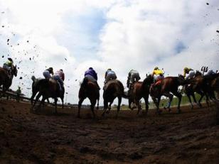 Del Mar Asked to Postpone Racetrack Bid Deal