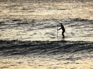 Standup Paddlers Save Snorkeler