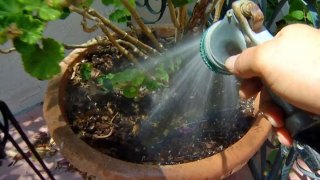 Drought Lessons: Water Wasters Attend Water School