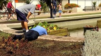 Lily Pond Damaged in Water Fight