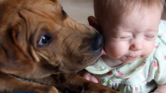 "My Furry Valentine" Photo Contest