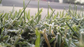 San Diegans Brave Frigid Temperatures