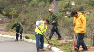 Local Housing Demand Creates Jobs