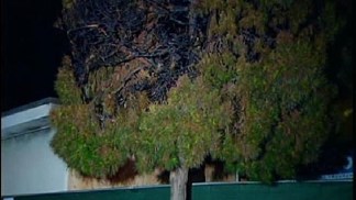 Flammable Liquid Used in School Fire