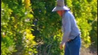 Frigid Temps Make Growers Nervous