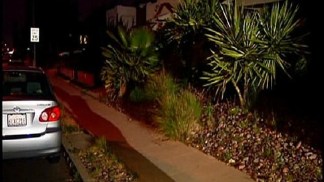 North Park Woman Attacked