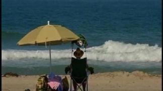 Shark Sightings in Mission Beach