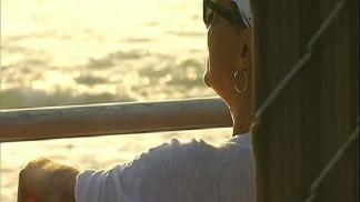 A Tourist's Take on Shark Sightings