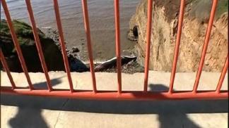 Timing Crucial to Remove Dead Whale