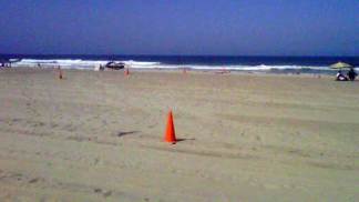 Mission Beach Closed After Shark Sightings: Images