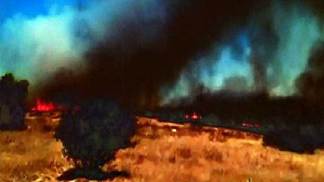 San Diego's 2011 Fire Season