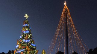 Holiday Events in San Diego