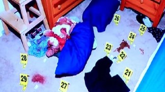 WARNING GRAPHIC IMAGES: Jennifer Trayers Trial 