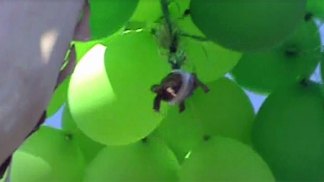 Turtle Taped to Balloons in Oceanside: Images