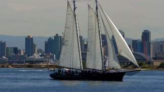 Go Whale Watching Aboard America