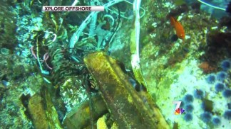 Video Confirms Final Location for Aegean Wreck