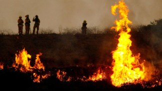 Nine Years Since Devastating Cedar Fire