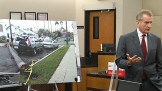 City Defends Fallen Palm Tree as 'Act of God'