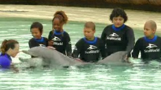 Children Patients Interact With Dolphins