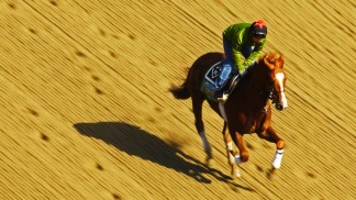 Race to the Triple Crown: The Drought Continues
