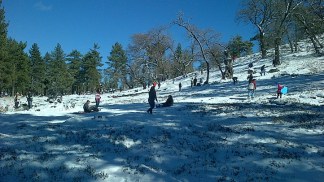Snow Falls in San Diego