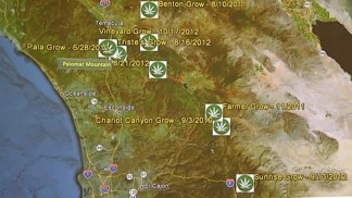 Cell Phone Leads Feds to Pot Farm Network