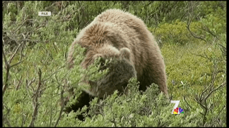 Family Mourns Man Killed by Bear