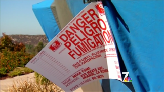 Unexpected Intruder Broke into Tented House