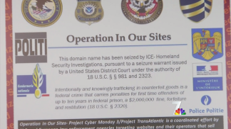 Feds Crack Down on Cyber Monday Fakes