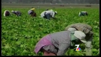 Immigration Overhaul Proposed