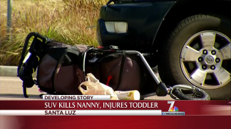 Nanny Dies, Toddler Injured After SUV Strikes Stroller